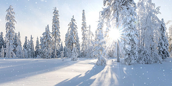 雪下得那么深,下得那么认真 超高清视频素材免费下载分辨率3840*2160