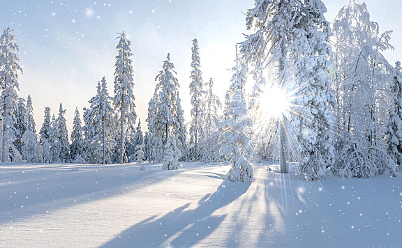 雪下得那么深,下得那么认真 超高清视频素材免费下载分辨率3840*2160