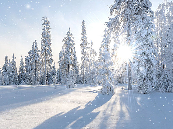 雪下得那么深,下得那么认真 超高清视频素材免费下载分辨率3840*2160